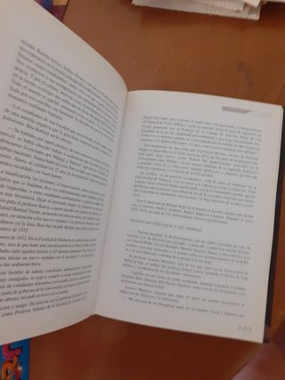 La Valencia de los años 70: Tal como éramos (Colección Luces de la ciudad) (Spanish Edition)