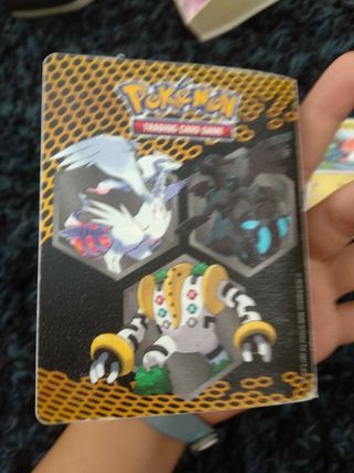 Album carte Pokemon