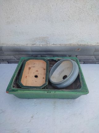 Tiesto para bonsáis lote