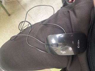 ratón para ordenador