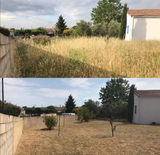 Jardinero económico