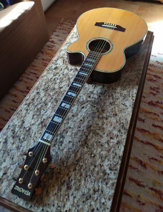 Guitarra y Amplificador