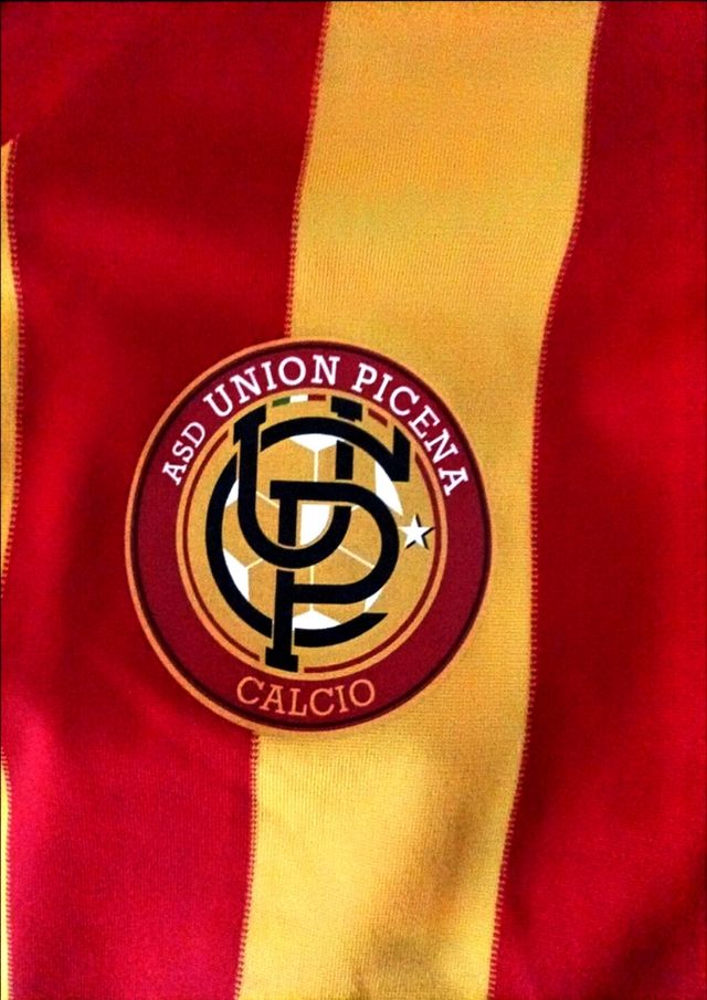 Camiseta deportiva futbol