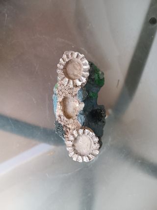 Figura castillo para acuario