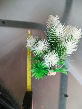 Figura planta para acuario