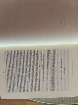 Manual de derecho constitucional