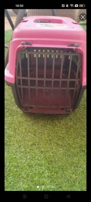 TRANSPORTIN PERRO GATO