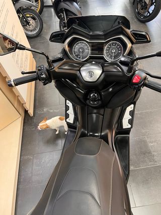 Yamaha xmax tech  125cc