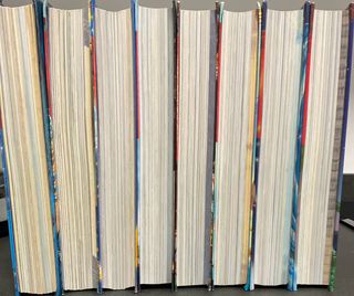 EN EL REINO DE LA FANTASÍA (SAGA)