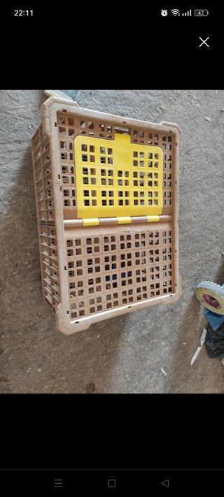 Caja transportin gallinas