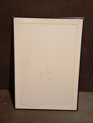 Cartel chica con tigre