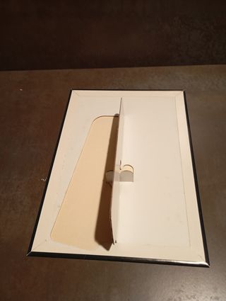 Cartel chica con tigre