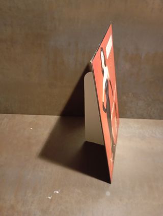 Cartel chica con tigre