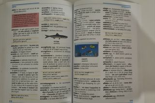 Dizionario inglese italiano