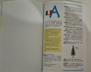 Dizionario inglese italiano