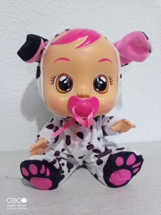 Bebé llorón Dalmata