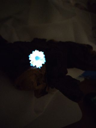 Añillos fosforescentes- totfetama