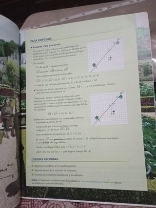 Matemáticas 4 opción B educación secundaria