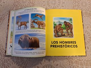 Diccionario por imagenes PANINI