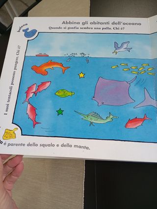 Il Libro Calamita Del Mare. Con Gadget