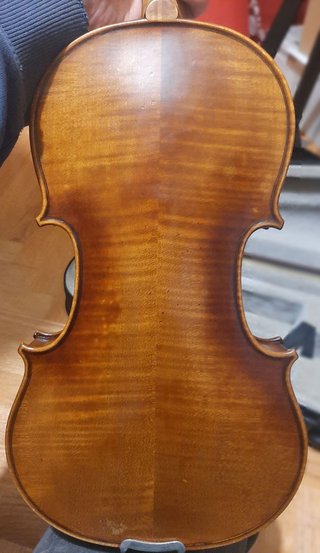 Violín 4/4 "Quattro Corde: Fine Violins"