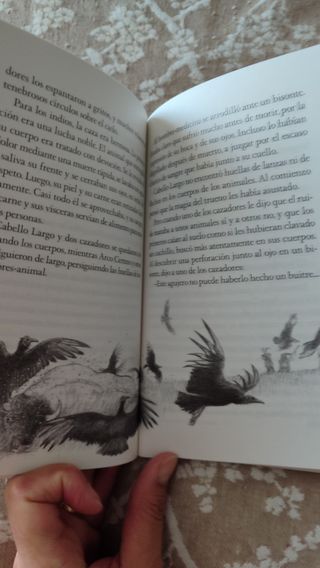 Libro lectura niños