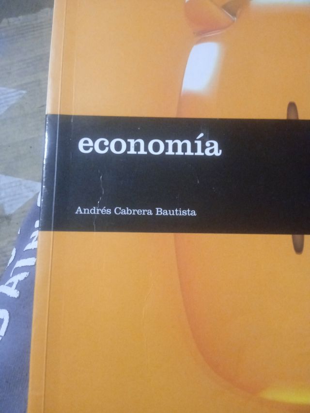 Economía. 1 Bachillerato. Savia (Spanish Edition)