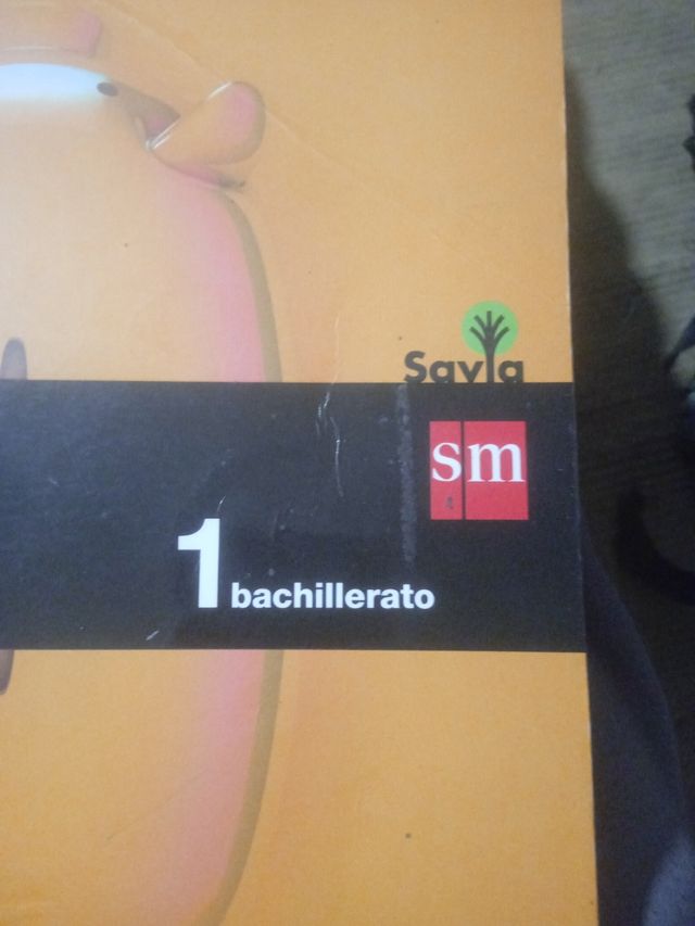 Economía. 1 Bachillerato. Savia (Spanish Edition)
