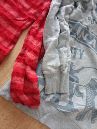 Sudadera Levis y polo Tommy Hilfiger