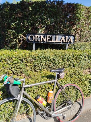 Sella bici