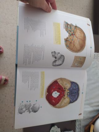 Atlas de Anatomía