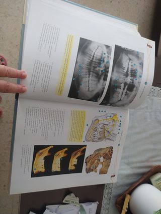 Atlas de Anatomía