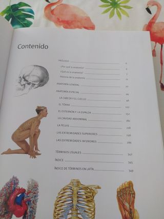 Atlas de Anatomía