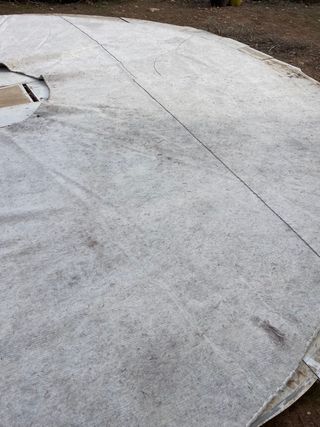 Yurta Mongola Traditional