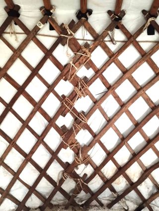 Yurta Mongola Traditional