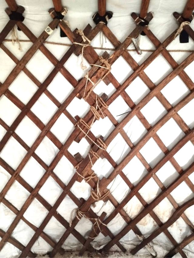 Yurta Mongola Traditional