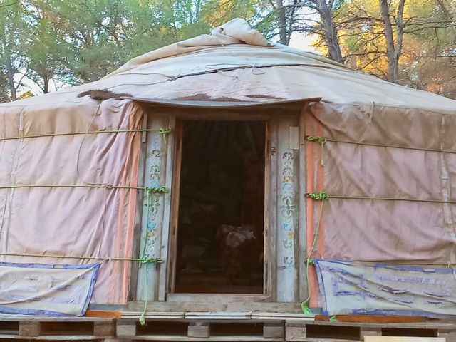 Yurta Mongola Traditional