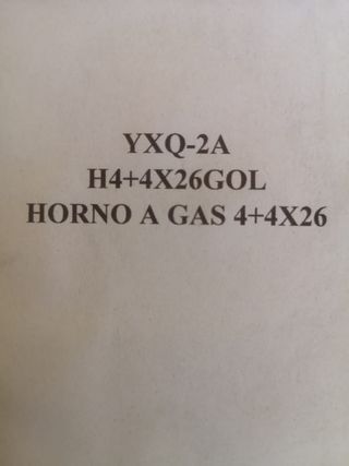 Horno profesional gas pizzas doble