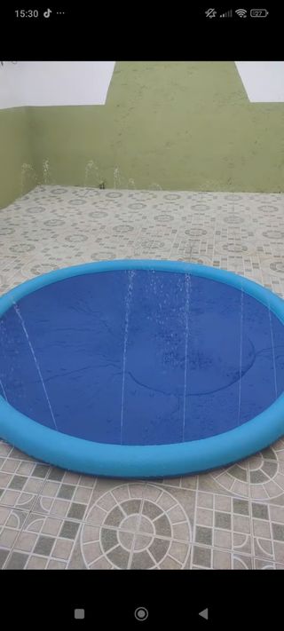Piscina para perros