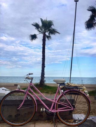 Bicicleta Clasica paseo