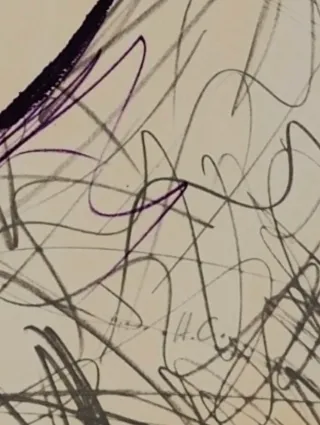 Envío toda España Canogar certificado   oportunida