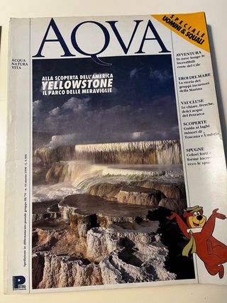 Rivista  Aqva anno 1990 gennaio maggio speciale