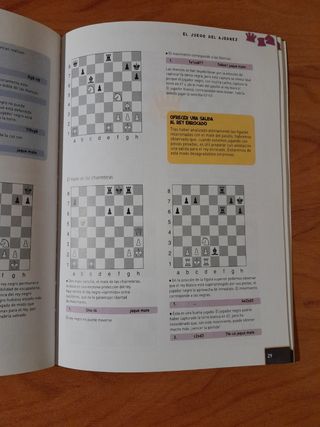 Lecciones de ajedrez para niños (Saber vivir) (Spanish Edition)