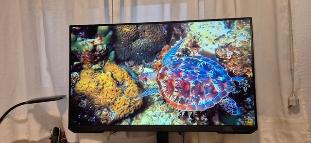 Ordenador sobremesa y monitor 32 SAMSUNG 165Hz