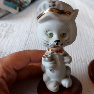 Lindo casal de gatinhos