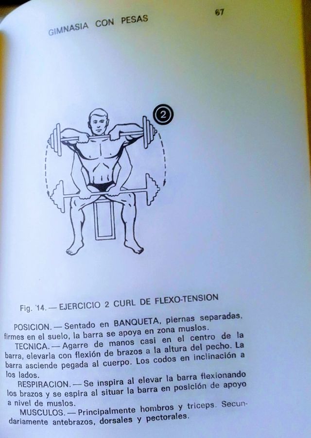 GIMNASIA CON PESAS.