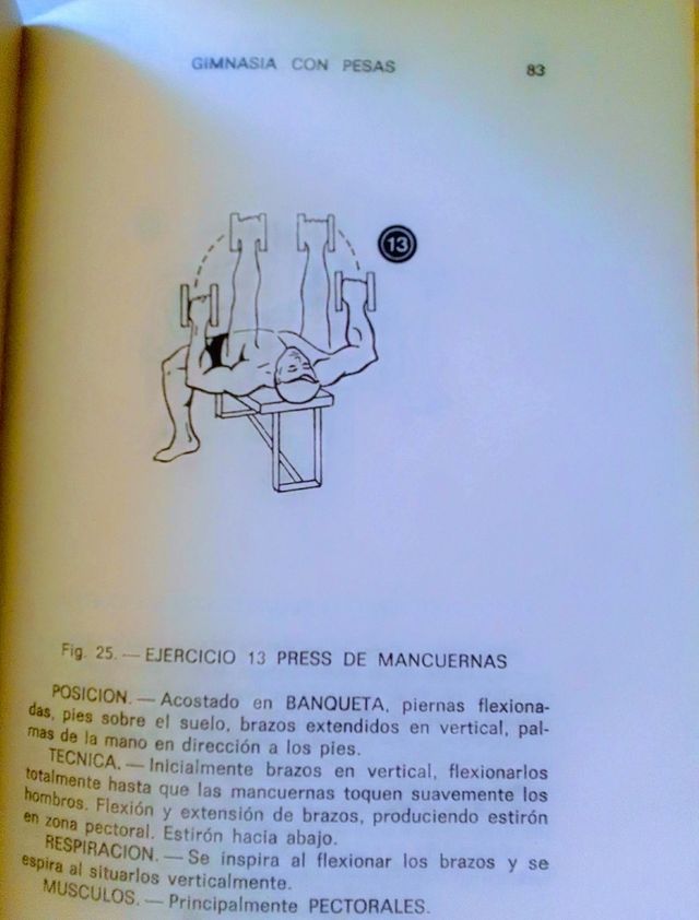 GIMNASIA CON PESAS.