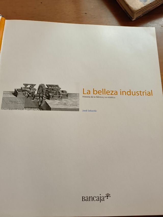 La belleza industrial