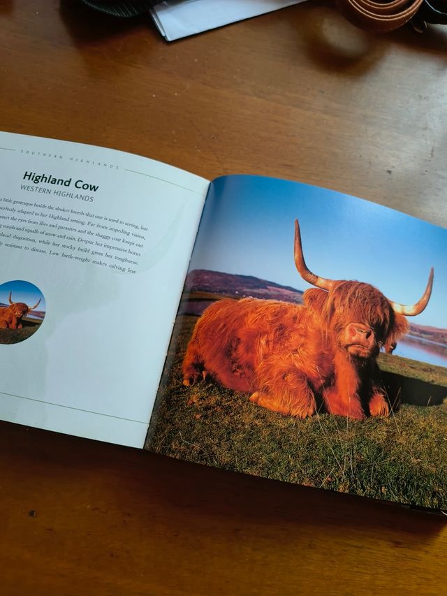 Scotland -Undiscovered Places