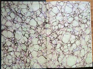 Guía naturalista de la provincia de Cádiz. 4 tomos